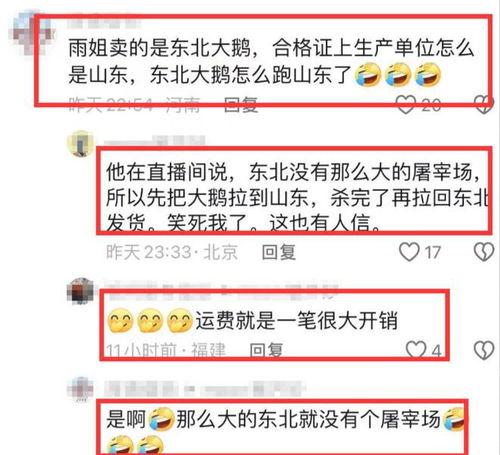 有网友爆料大鹅吗视频播放,大鹅视频播放引发热议，究竟有何内幕？